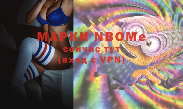 индика Карталы
