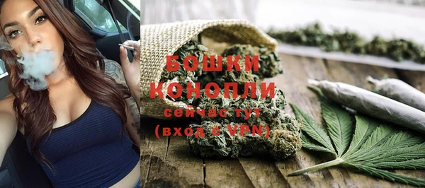 индика Карталы