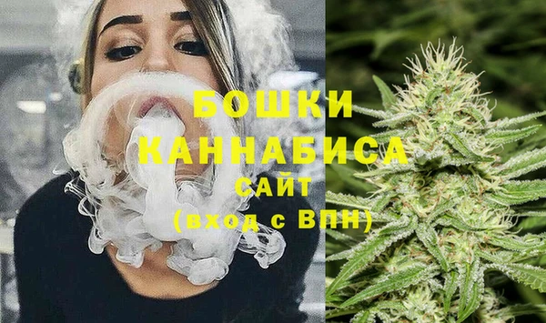 индика Карталы